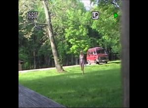 Секс в лесу