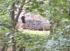 Писающие женщины в парке видео